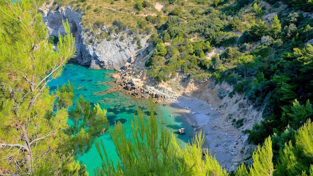 Un paysage côtier caractérisé par une plage rocheuse, des eaux turquoise et limpides, et une végétation luxuriante.
