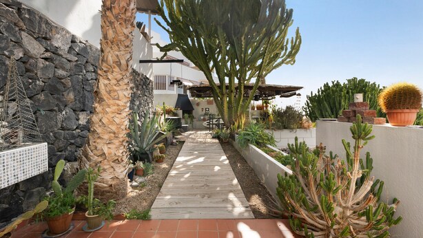 Un camino que lleva a un edificio con un muro de piedra, varias macetas con plantas y un cactus.