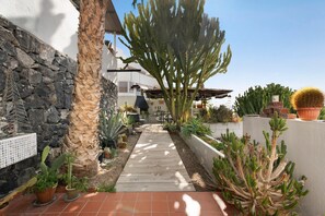 Un camino que lleva a un edificio con un muro de piedra, varias macetas con plantas y un cactus.