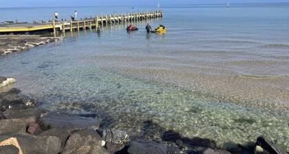 The Beauty Park Getaway