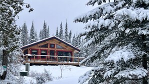 A wooden cabin with a red exterior, surrounded by snow-covered trees. - Dragonfly - Unique, tranquil retreat in Grand Marais, MN (Grand Marais)