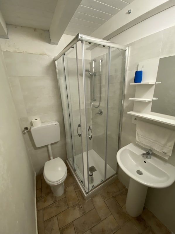 A bathroom with a glass-enclosed shower, a toilet, a sink, and a white shelf with a blue object.