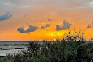 Playa en los alrededores