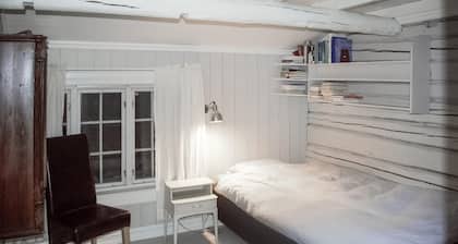 Wunderschönes Haus in Røros mit Sauna