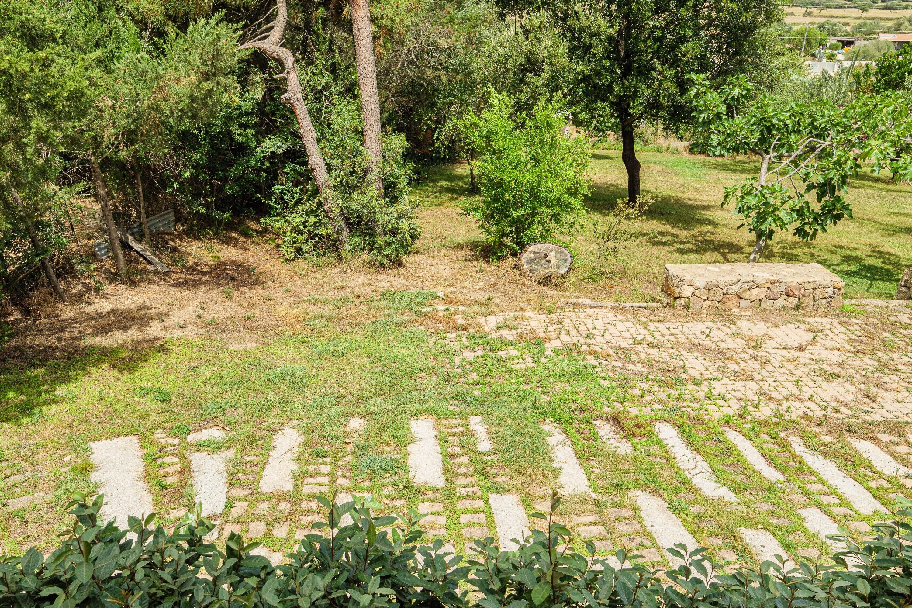 Parco della struttura