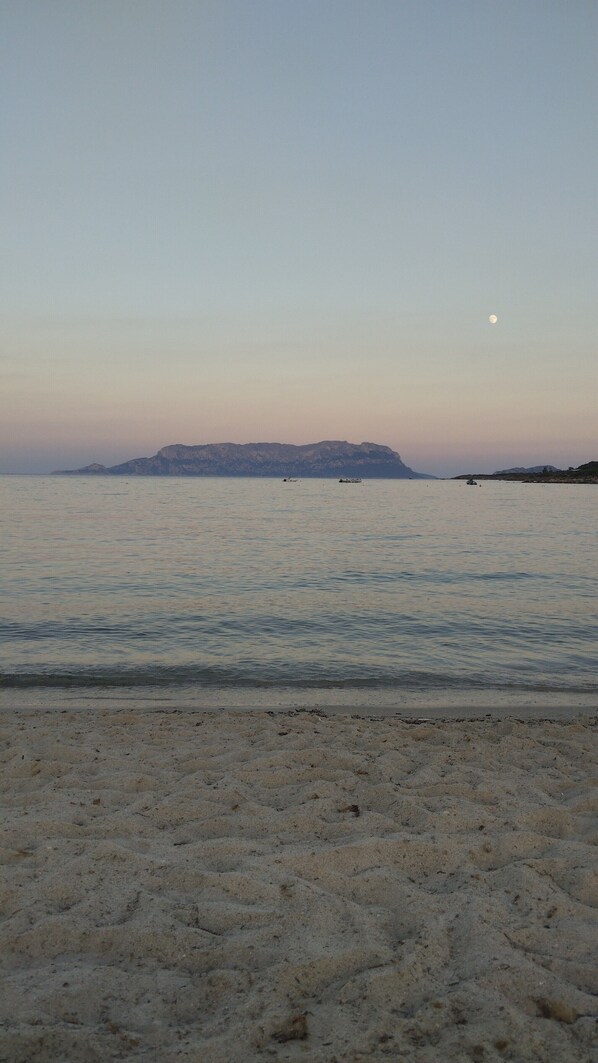 Ranta