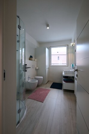 Shower, hair dryer, bidet, towels