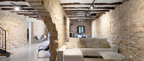 TV, fireplace, video games, table tennis