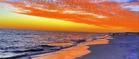 ビーチ、サンラウンジャー