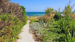 A coastal pathway with a clear view of the ocean, surrounded by various plants and shrubs. - Villa Posidonia - 200m from Sandy Beach (Ayia Napa)