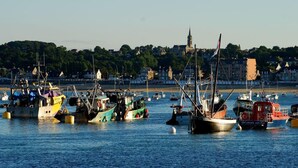 A harbor with various boats docked, a prominent church spire in the background, and a shoreline with buildings.
