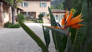 Un edificio con camino de grava, contraventanas verdes y un jardín con una flor de ave del paraíso.
