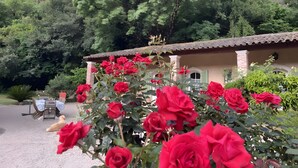 Una casa con jardín, rodeada de árboles.