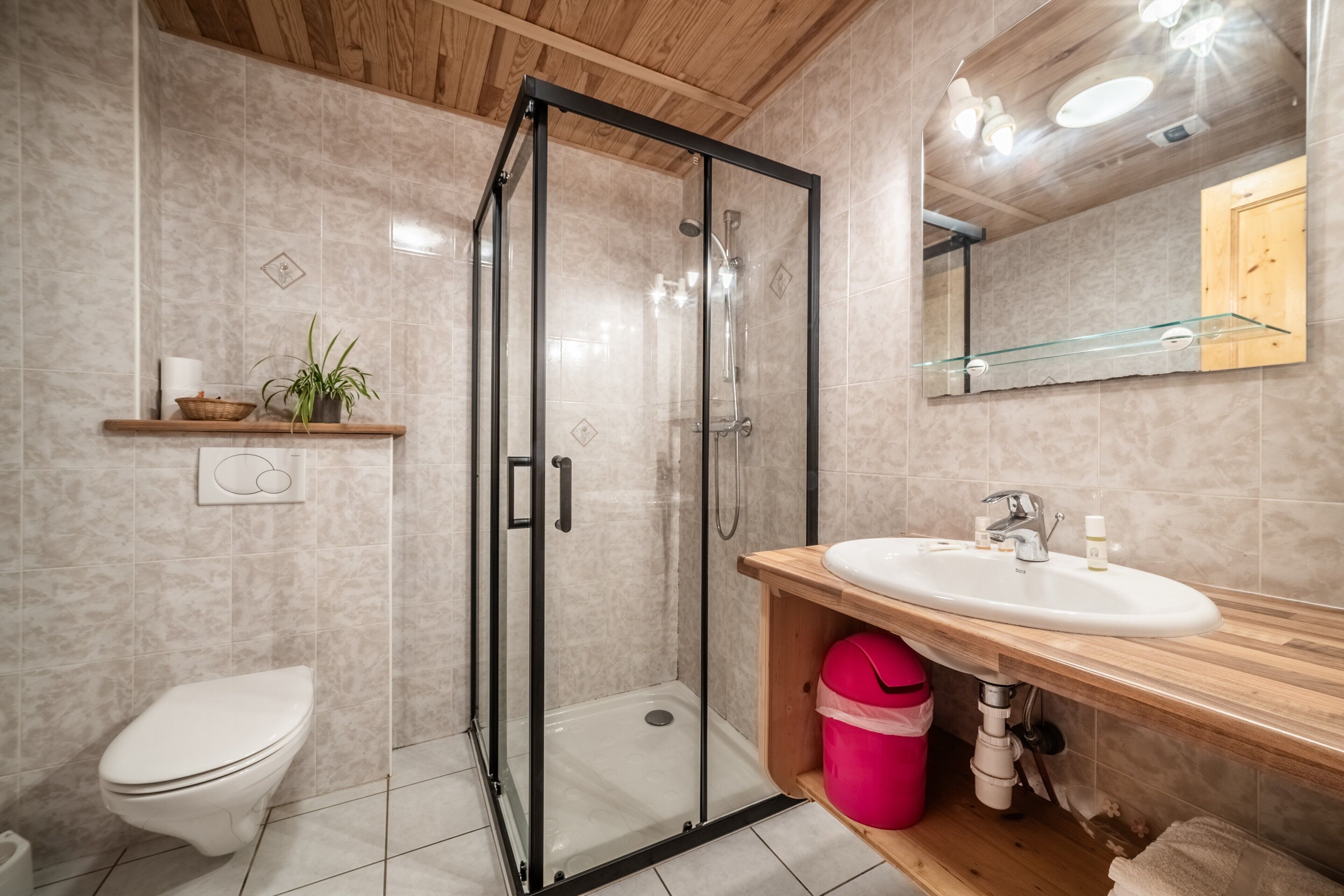 Een moderne badkamer met een douchecabine van glas, een toilet, een wastafel met houten wastafelmeubel en een spiegel.