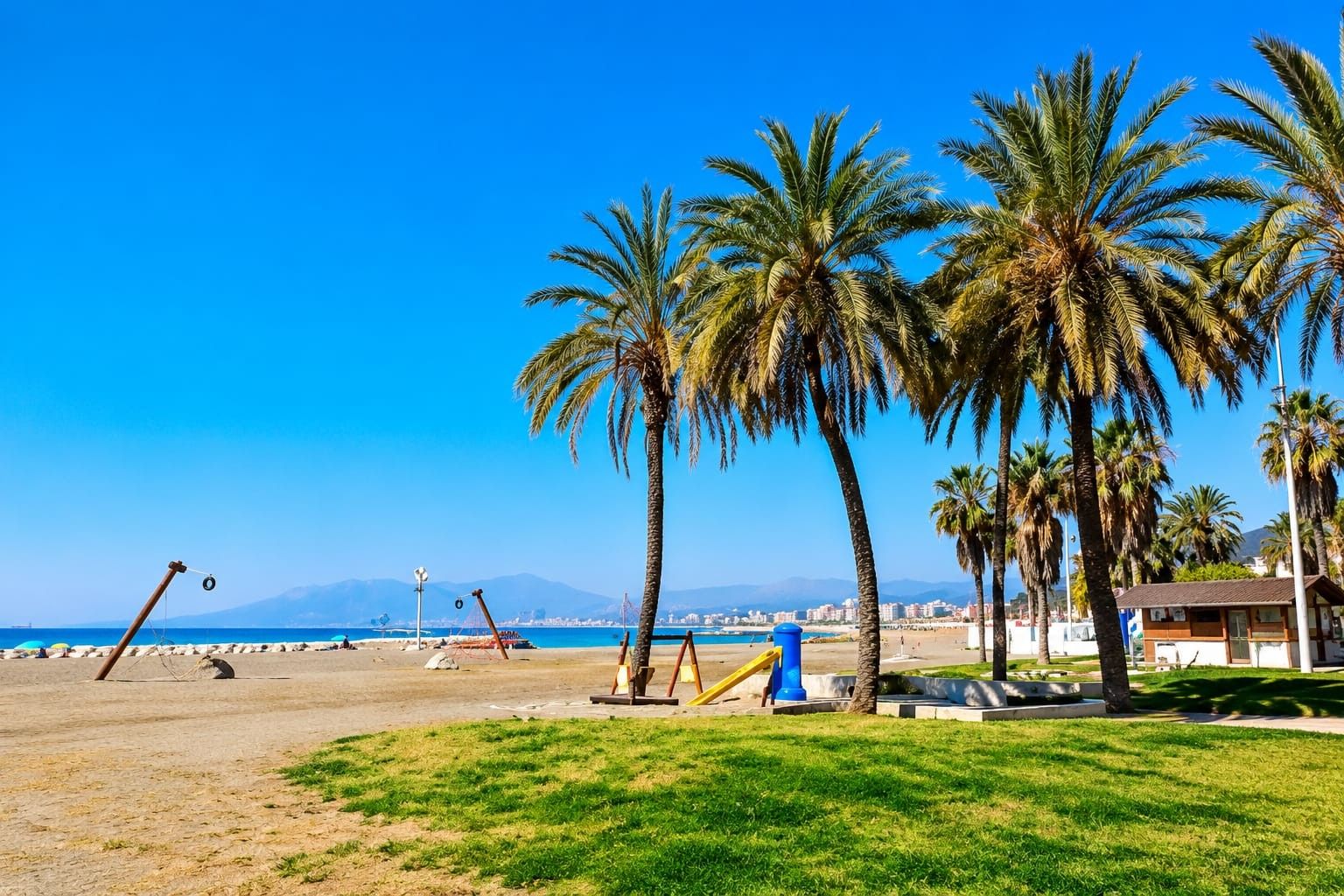 Una playa con palmeras, un columpio y un cielo azul despejado.