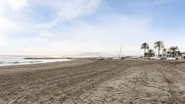 Una playa arenosa con barcos y palmeras.