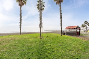 Ein grasbewachsenes Gebiet mit Palmen und einem Strand im Hintergrund.