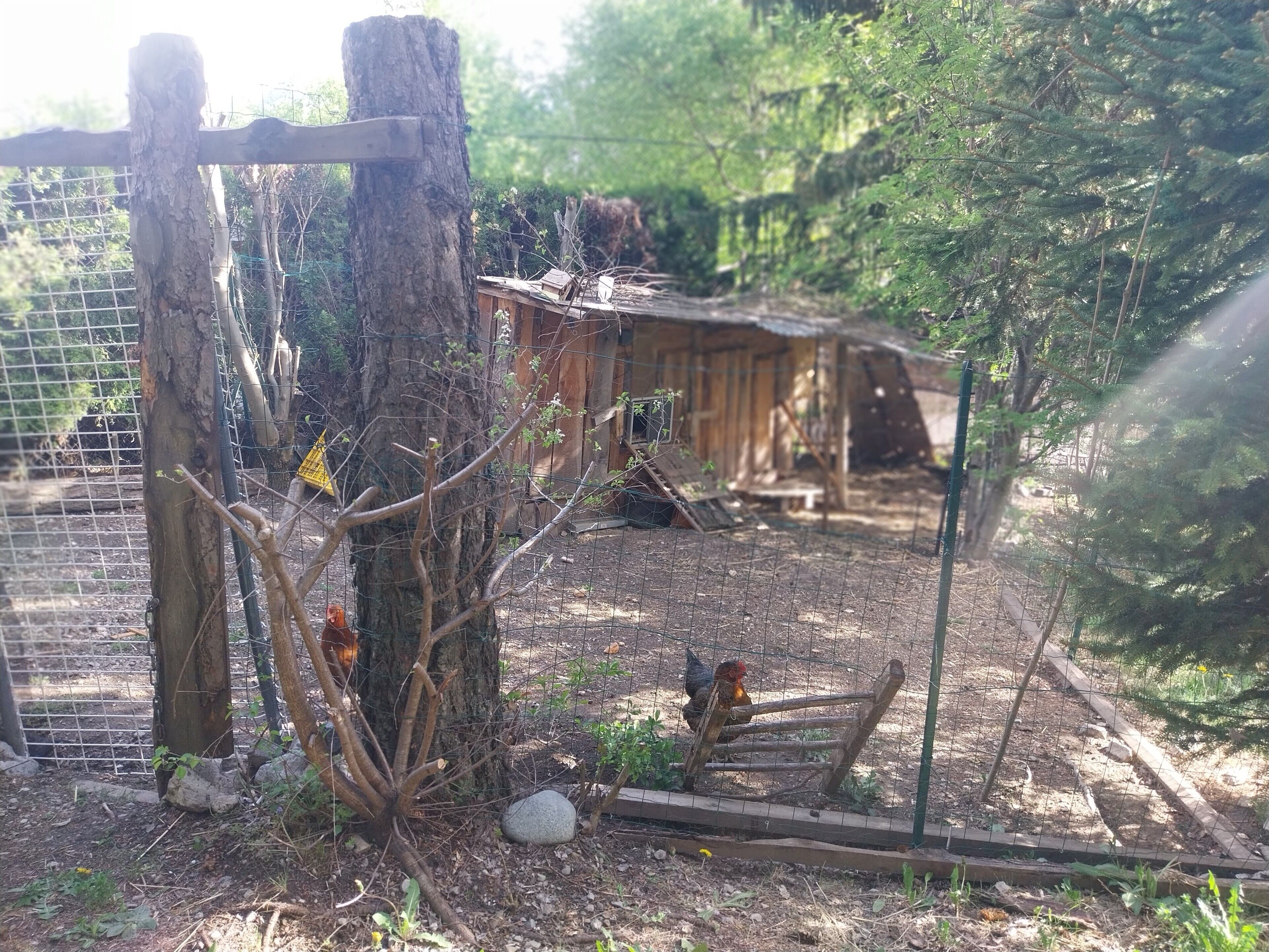 Property grounds