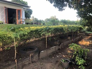 Jardines del alojamiento