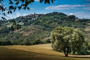 A rural landscape with a hilltop village, a prominent tree in the foreground, and a clear blue sky. - Tuscan Sun With Shared Pool (Radicondoli)