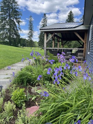 Property grounds - Summer Fever - Modern Farmhouse, watch ASV fireworks from the backyard! (Oneonta)