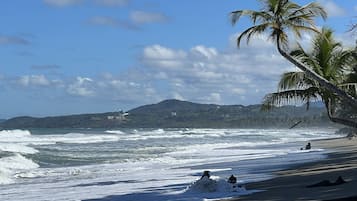 Chaises longues, serviettes de plage