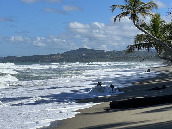 Sun loungers, beach towels