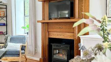 Smart TV, fireplace, books