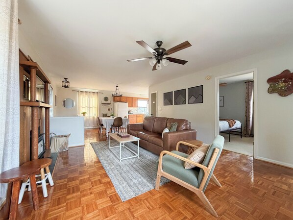 Smart TV, fireplace, books