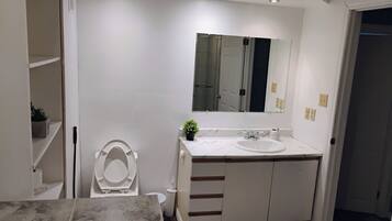 Shower, towels, toilet paper