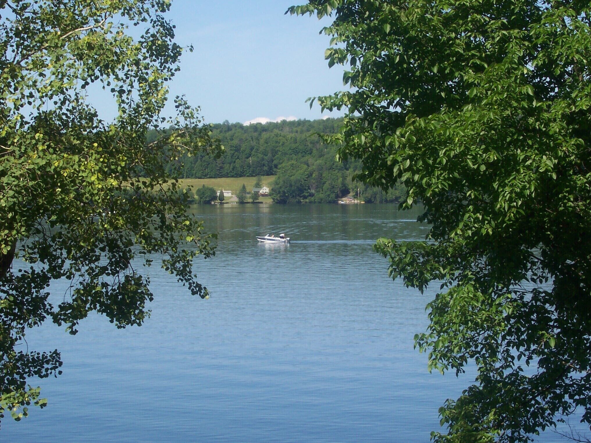 Un lac paisible, avec un bateau visible au loin, entouré d’une végétation luxuriante.
