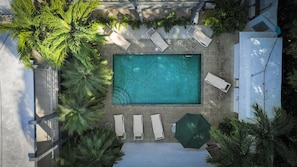 Vista aérea de una piscina rectangular rodeada de sillas de descanso y sombrillas, con palmeras y una terraza de hormigón.
