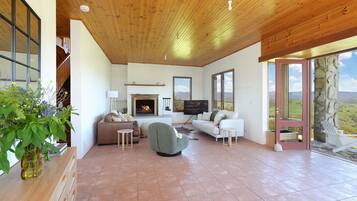 TV connectée, cheminée, livres