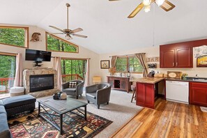 Smart TV, fireplace, books