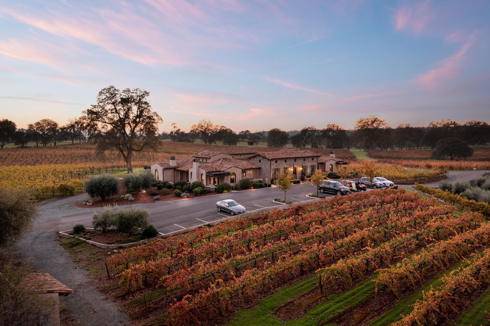 A vineyard estate with a main building and several parked cars.