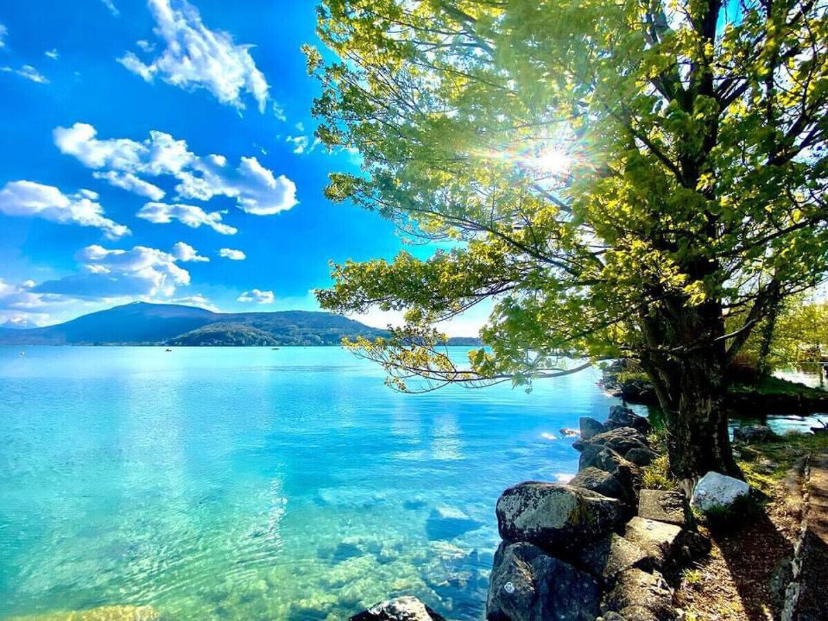 A clear lake with a tree and rocks on the shore.