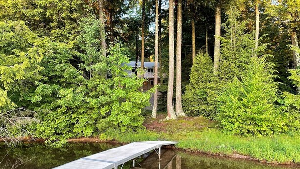 Eine hölzerne Pier erstreckt sich über ruhiges Wasser, umgeben von dichtem Grün und hohen Bäumen.