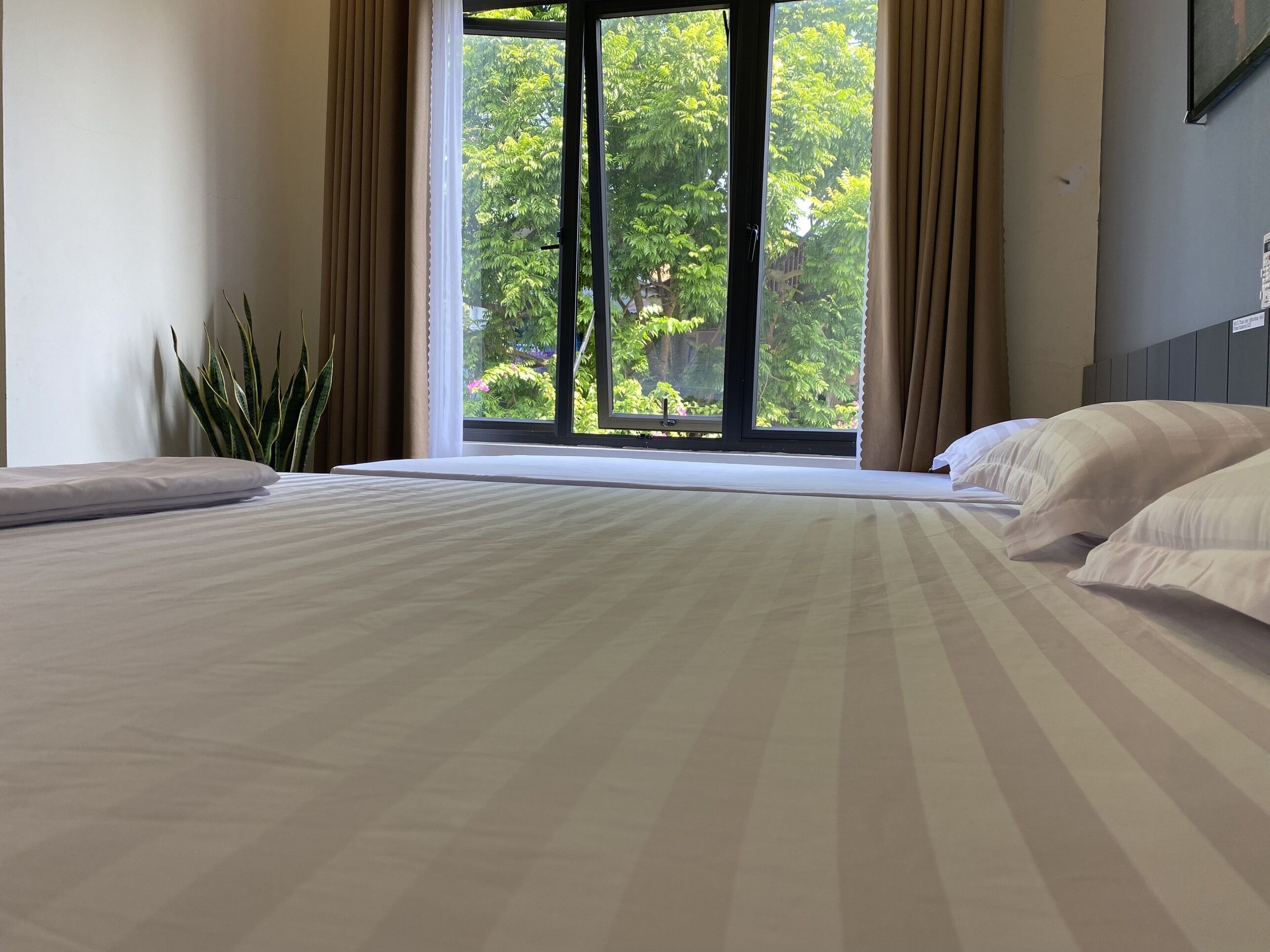Habitación de hotel con una cama grande, una planta en maceta y vistas a zonas verdes a través de una ventana.