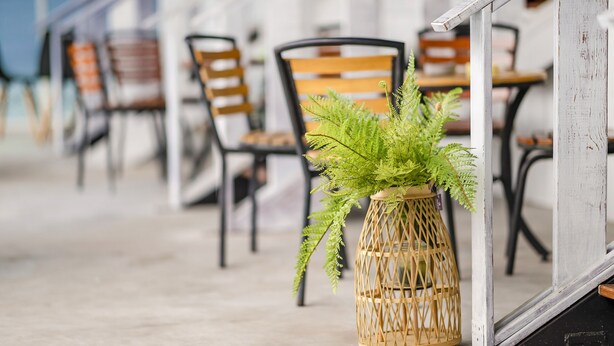 Property grounds - Little Lost B&B｜Family / Pet Friendly (Liuqiu)