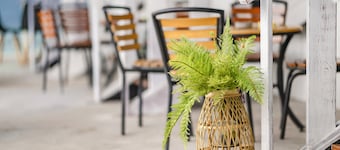 Little Lost B&B|Family / Pet Friendly
