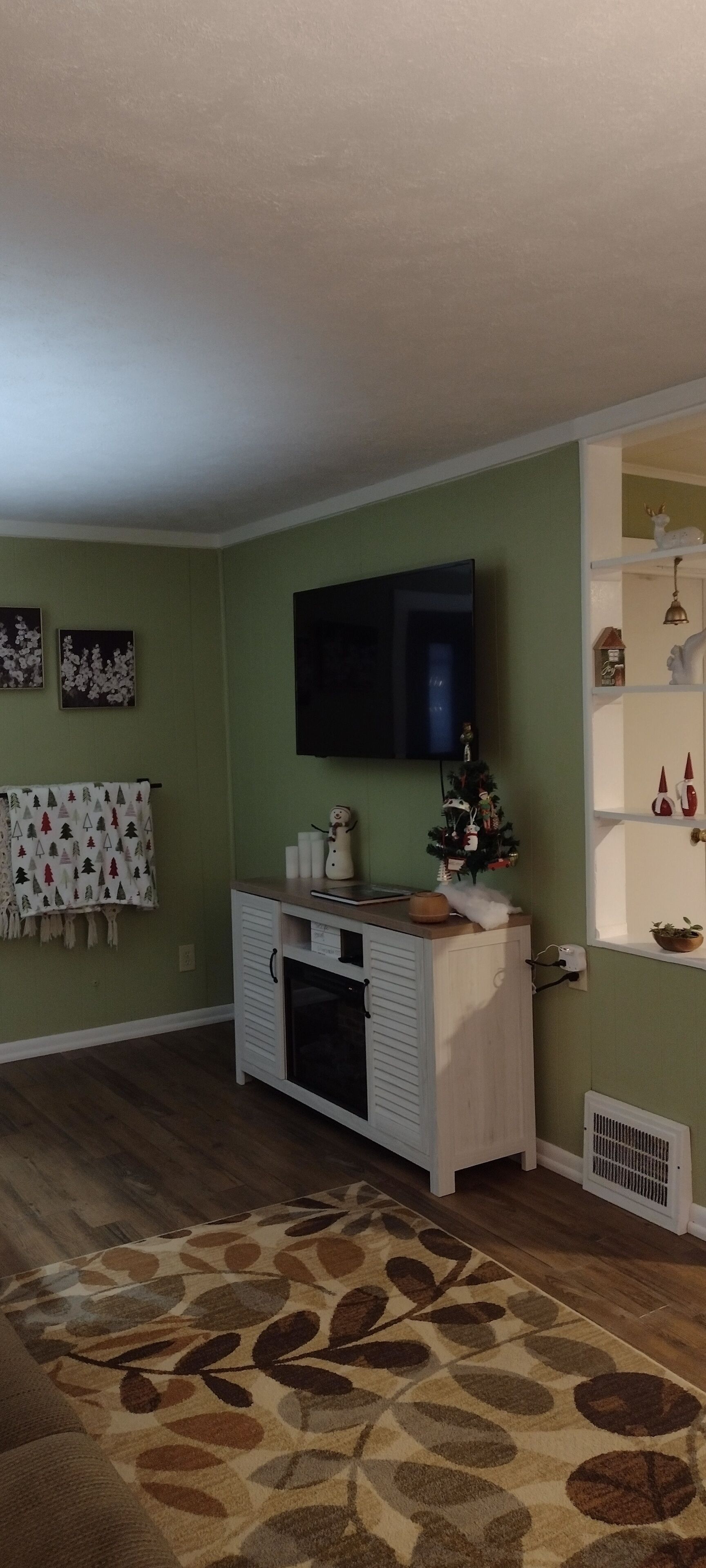 智能电视、壁炉、书