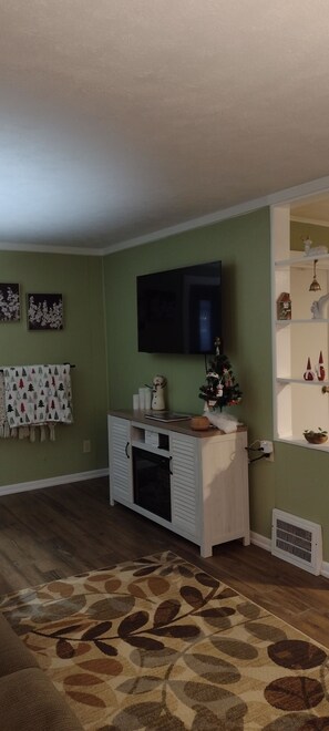 TV connectée, cheminée, livres