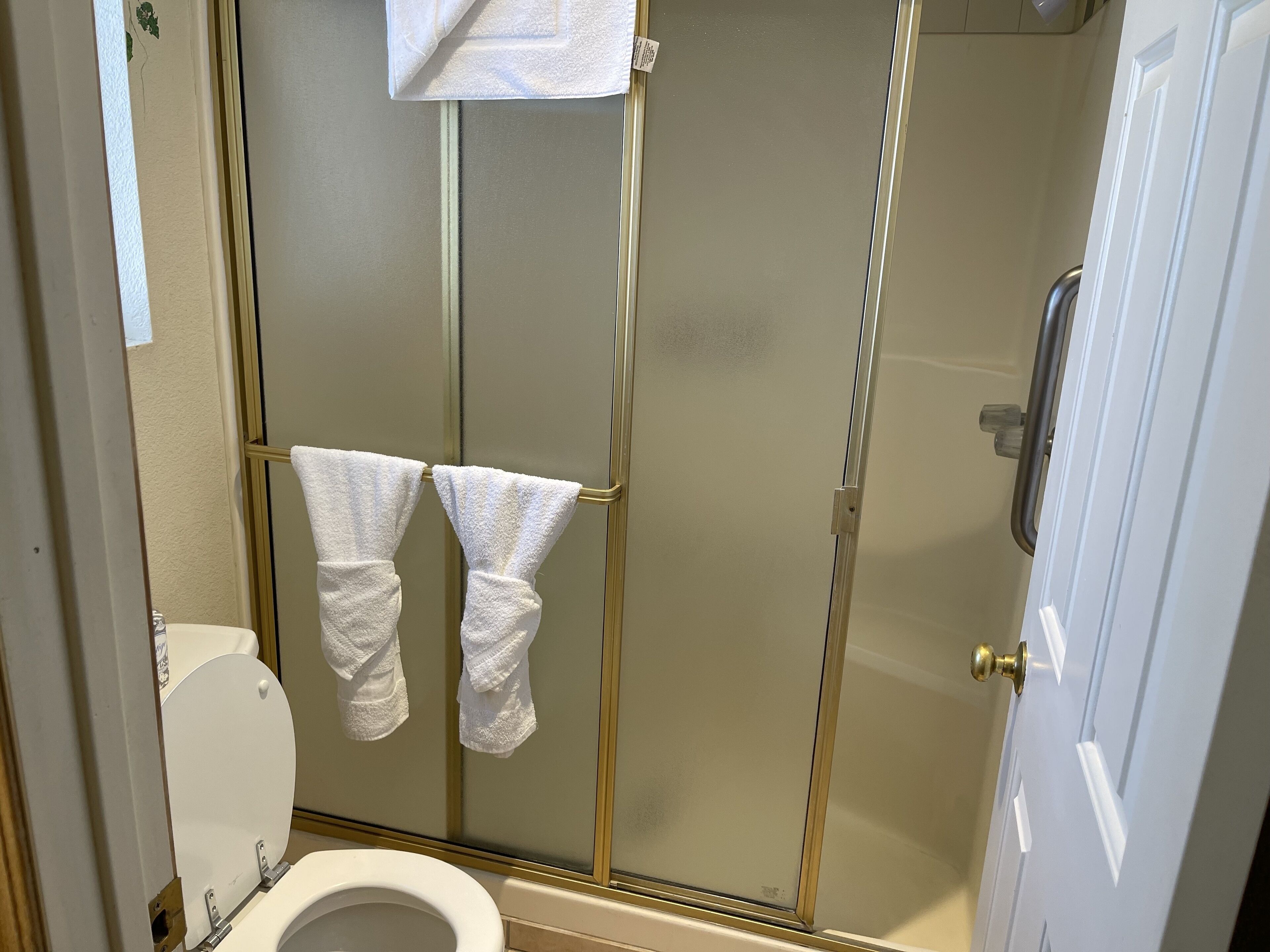 A bathroom with a toilet, a glass shower enclosure, and two towels hanging on a towel rack.