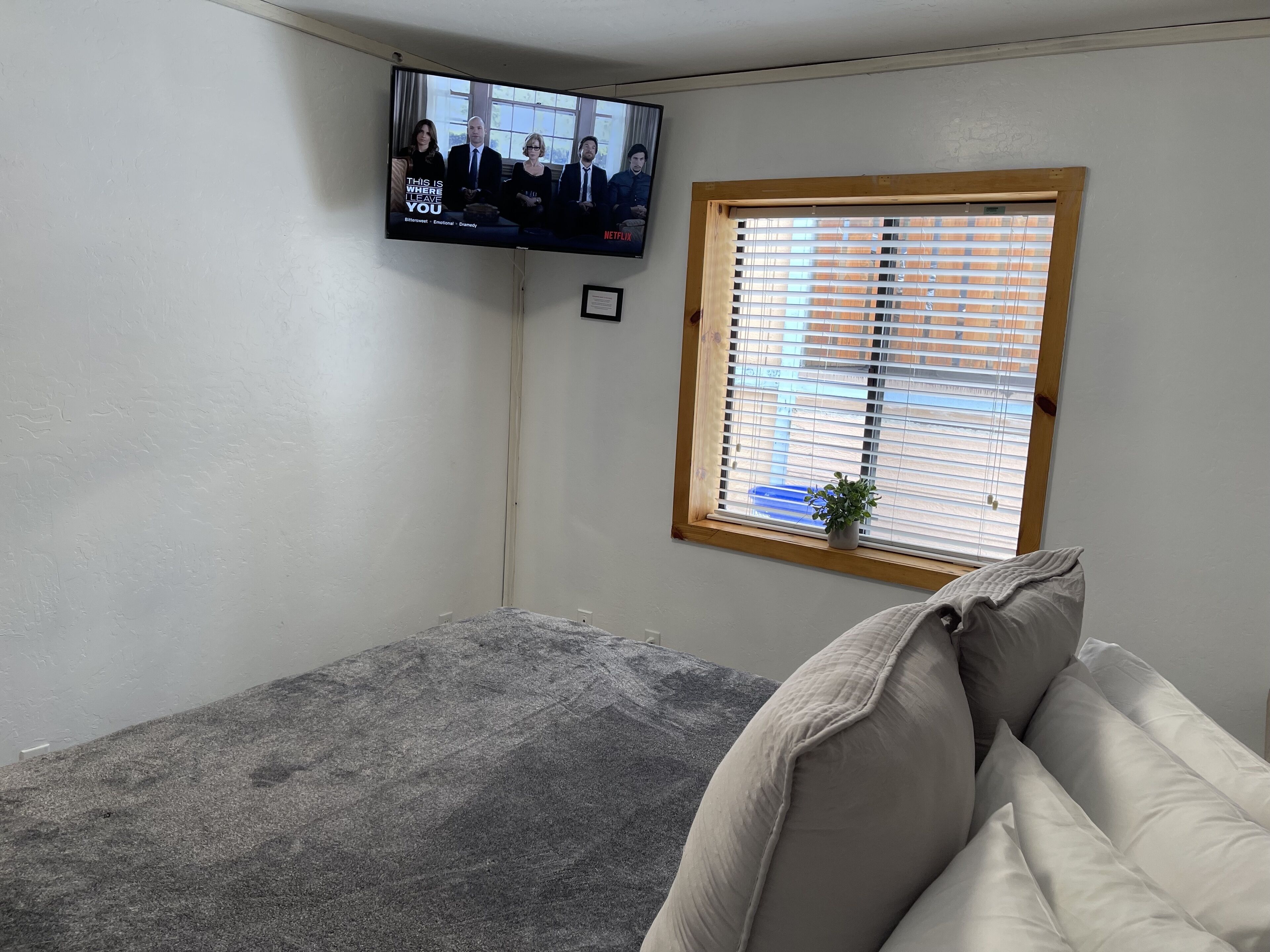 A bedroom with a bed, a window with blinds, a TV mounted on the wall, and a small plant on the windowsill.