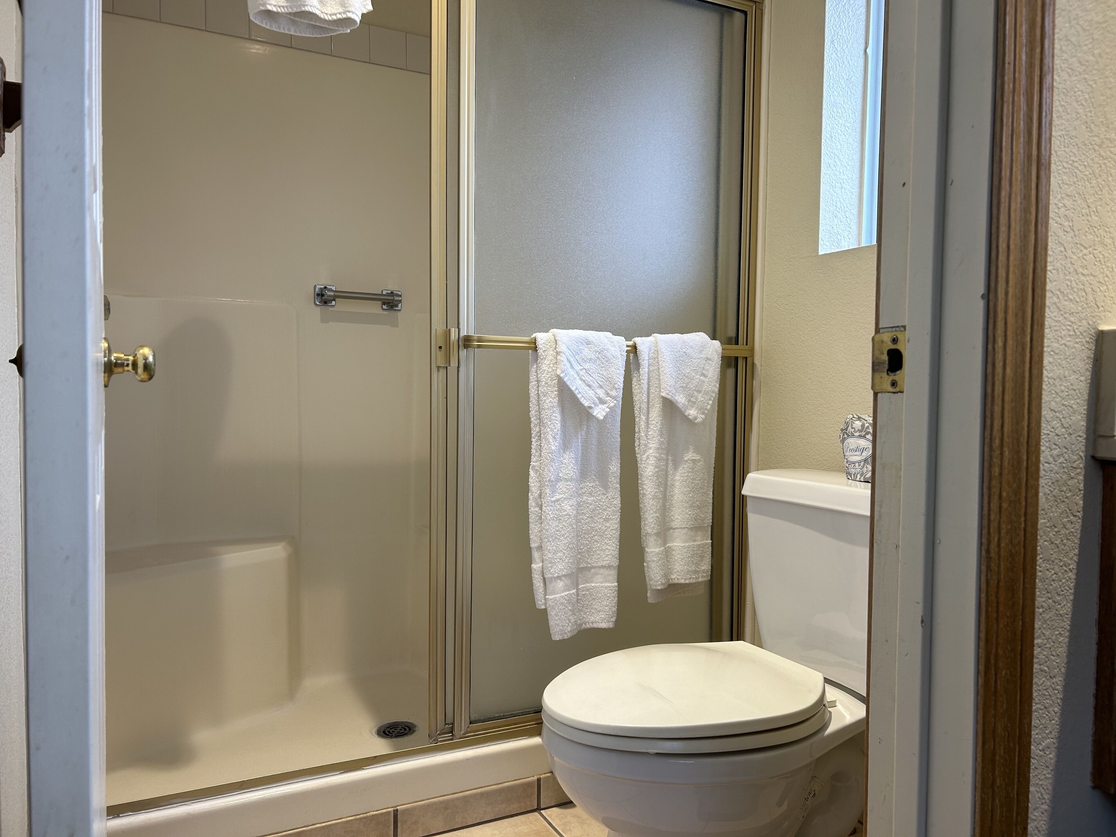 A bathroom with a glass-enclosed shower, a toilet, and a towel rack with two towels.