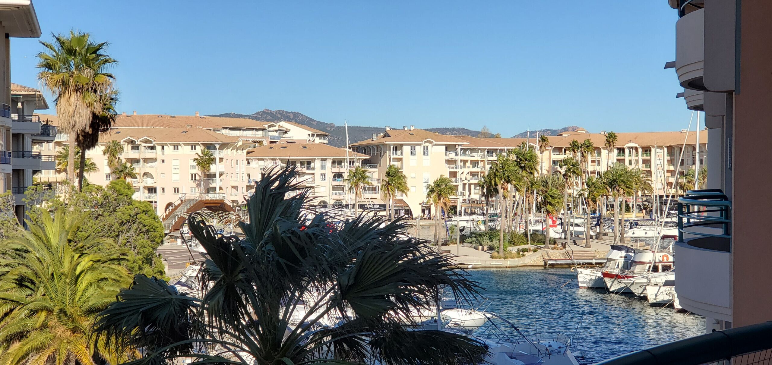 A marina with boats, palm trees, and multi-story buildings with balconies.