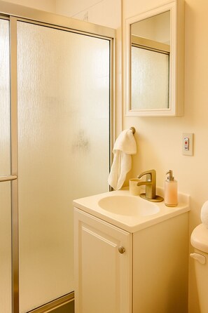 Shower, hair dryer, towels, soap