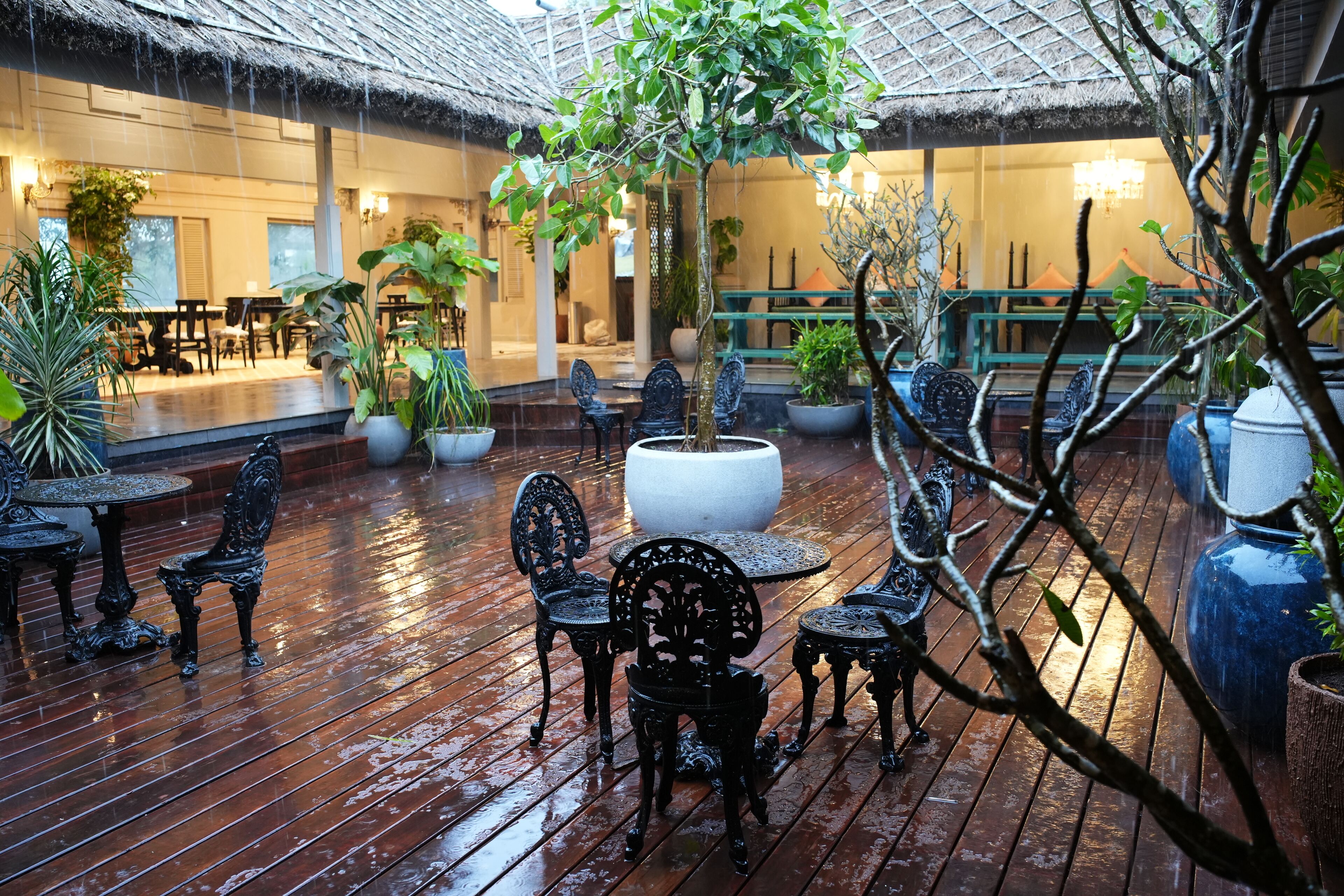 Un patio interior con suelo de madera, sillas de metal negro y plantas en macetas.