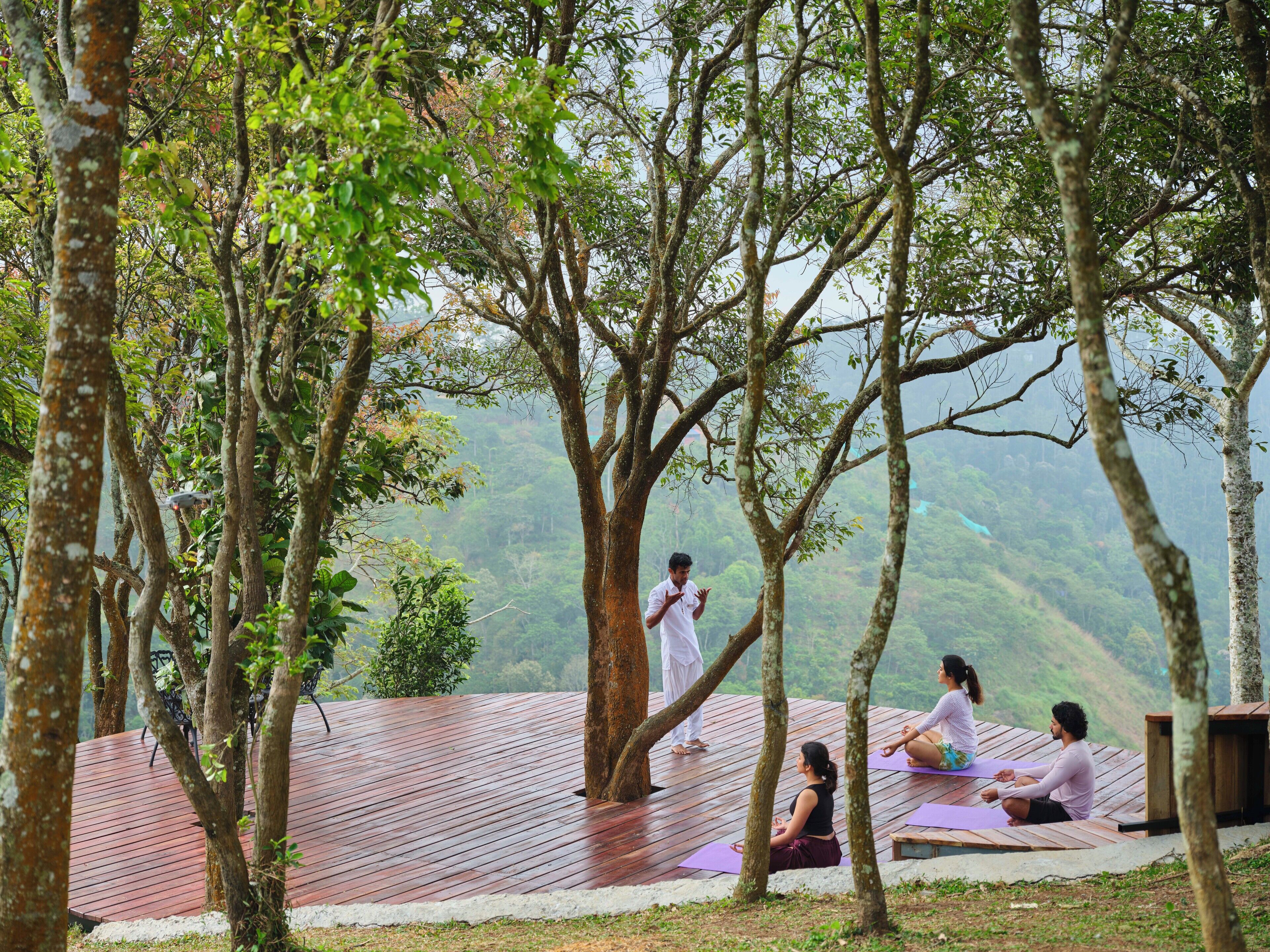 A group of people practicing yoga on a wooden deck surrounded by trees.