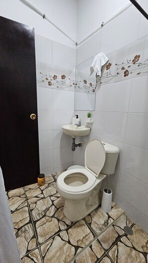 Serviettes fournies, savon, papier toilette